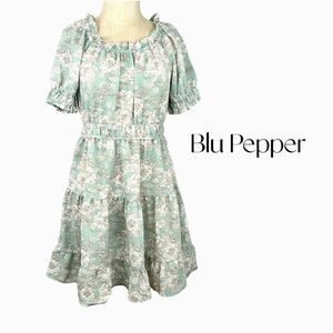 BLU PEPPER Ruffle Floral Mini Dress Puff-Sleeve Sage and Cream Sz S NWT